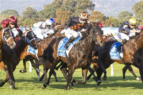 16:25 Goodwood Handicap (Class 4) Odds & Betting » Betfair™.